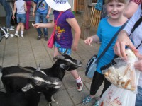 /album/fotogalereya/img-5814-1-jpg/